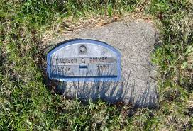 Lyell June Fleener Pinney (1921-2008)