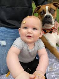 Our granddaughter has always been their queen. 👸 🐩