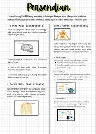 Catatan Biologi Kelas 8 Matematika Kelas 8 Kelas Tujuh Buku Pelajaran