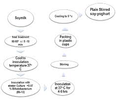 Flow Chart For Preparation Of Stirred Soy Yoghurt