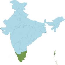 Image result for Ellipanthus