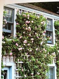 Pin By Sloane Jackson On Gardening Outdoors Garden Inspiration Beautiful Gardens Outdoor