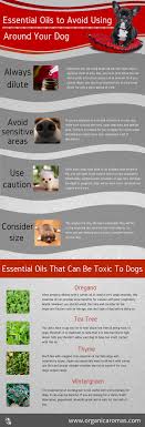 However, they are generally safe for people and most of them are safe for animals. Peppermint Essential Oil Dogs Cheap Buy Online