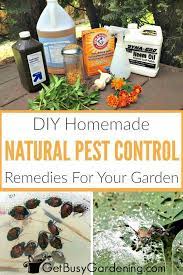 These All Natural Diy Pest Control Remedies Work Great For Getting Rid Of All Kinds Of Garden Pests Includin Garden Pest Control Diy Pest Control Garden Pests