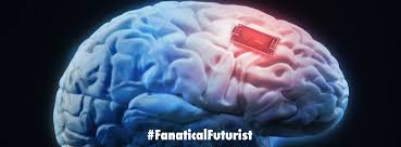 Elon musk is dancing around bitcoin for his own benefit as author mentioned. Elon Musk Unveils Neuralink S Brain Implants That Will Help Humans Merge With Ai By Futurist And Virtual Keynote Speaker Matthew Griffin