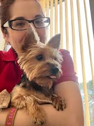 Just Kiwi Kid Enjoying Her Kowhai Tree. 🏡 Violet