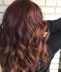 Pin By Kathryn Powell On Hair Styles Mahogany Hair Artistic Hair Types Of Hair Color