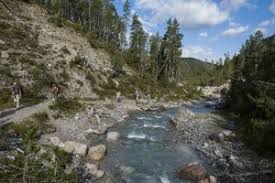 Der schweizerische nationalpark (eigenschreibweise rätoromanisch: Home Der Schweizerische Nationalpark Im Engadin