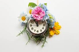 On saturday night, set your clocks back one hour (i.e., gaining one hour) to fall back. Clocks Change 2021 Which Countries Put Clocks Forward Will Eu Change Clocks This Year Express Co Uk