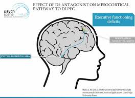 A Simplified Guide To Antipsychotic Medications Mechanisms