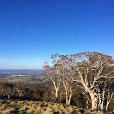 Map of orange, nsw 2800. Elevation Of Orange Nsw Australia Topographic Map Altitude Map