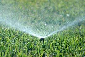 Residential water use is for irrigation, but more than 50% of irrigation water is wasted by inefficient use. How To Water Your Lawn Top Tips Bob Vila