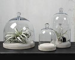 Glass Dome Glass Cloche Sweet Holder Cheese Plate Home Decor Glass Dome Display Glass Dome Decor Wedding Cente Cloche Domes Glass Domes Glass Dome Cloche