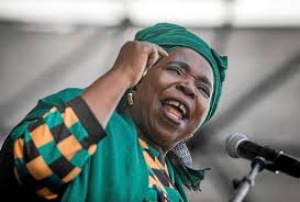 NDZ sings in harmony with the president on radical economic transformation