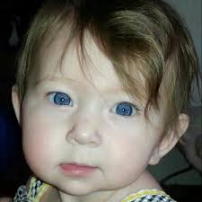 Cost of front windshield repair?