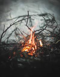 Burning Fire Wallpaper Android Wallpaper Iphone Wallpaper Hdwallpaper Best Wallpape Android Wallpaper Hd Nature Wallpaper Iphone Summer Android Wallpaper