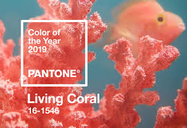 Pantone Color Of The Year 2019 Palette Exploration Living