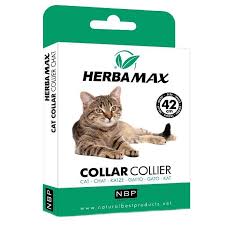 Herba Max Kedi Pire Tasmasi 42 Cm Tasmalar Fatih Pet