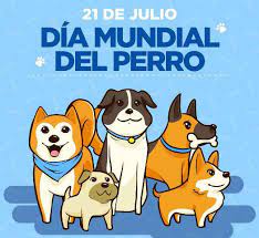 Esta especie animal de cuatro patas llamada perro, can o chucho, es considerada el mejor amigo del ser humano por ser un acompañante fiel e incondicional. Facebook