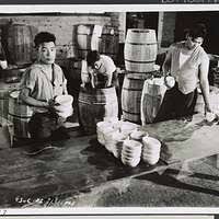 Image result for Chrome Yellow 1956 Twin Cities Milk Producers Association