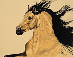 Buckskin warlander filly (friesian x andalusian | horses. Buckskin Andalusian Dream Horse Series 3300 Drawing By Cheryl Poland