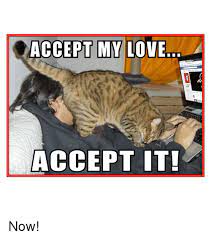 Accept My Love Accept It Now Meme On Me Me