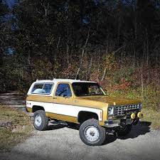 Image result for Dark Yellow 1976 GM
