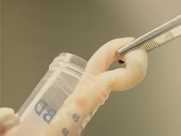 Cord blood and cord tissue banking. Netcells Stem Cell Banking South Africa S Leading Stem Cell Bank