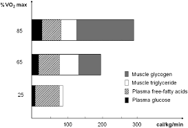 The human body uses carbohydrate, fat, and protein in food and from body stores for energy to anaerobic metabolism uses glucose as its only source of fuel and produces pyruvate and lactic pyruvate can then be used as fuel for aerobic metabolism. Carbohydrate And Fat Utilization During Rest And Physical Activity European E Journal Of Clinical Nutrition And Metabolism