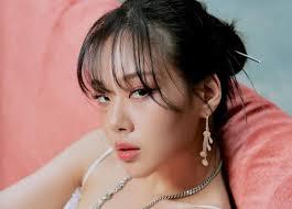 Bibi liên tục bị chỉ trích vì hình ảnh phả.n cả.m