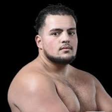 Marius Munteanu vs. Mohammed Seddik, Dynamite Fighting Show 7