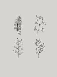 Pin On Ryn Frank Illustration