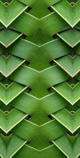 Posted on september 26, 2020. Coquita Texture Inspiration Green Aesthetic Textures Patterns