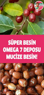 Super Besin Omega 7 Deposu Mucize Besin Herbal Medicine Herbalism Health