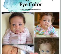 baby eye color prediction heart of deborah