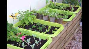 Maybe you would like to learn more about one of these? How To Start A Garden How To Start A Garden For Beginners Youtube