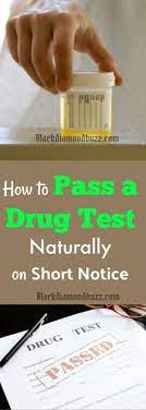 How to pass a drug test in 24 hrs. Drug Testing