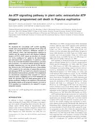 We did not find results for: Pdf An Atp Signalling Pathway In Plant Cells Extracellular Atp Triggers Programmed Cell Death In Populus Euphratica
