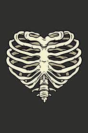 Heart Rib Cage Design Graphic Design Art Rib Cage Drawing Bone Drawing Line Art Design