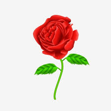 Bunga mawar gif gambar animasi animasi bergerak 100. Gambar æƒ…äººèŠ‚çŽ«ç'° Bunga Ilustrasi Bunga Yang Terang Kartun Mawar Dilukis Tangan Bunga Ros Merah Mawar æƒ…äººèŠ‚çŽ«ç'° Bunga Ilustrasi Bunga Yang Terang Meningkat Png Dan Psd Untuk Muat Turun Percuma