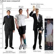 Likewise the question how many centimeter in 6.7 foot has the answer of 204.216 cm in 6.7 ft. Would You Consider 6 1 185 Cm Tall For A Guy Quora