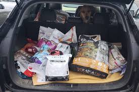 By providing pet food for those in need during challenging financial times, we offer an alternative to surrendering — or worse, abandoning — a family pet. Animal Food Bank Looking To Feed Kelowna S Pets In Need Kelowna Capital News