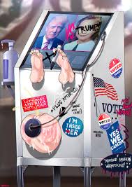 Shadbase hillary - jeulia.fr