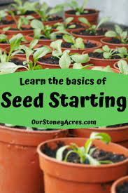 Pin On Gardening Ideas