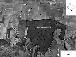 The mcfaddin and texas point national wildlife refuges are located in proximity in southern jefferson county on the upper texas coast at sabine pass.the refuges have a combined 105.96 square miles (274.4 km 2) of fish and wildlife habitat. Map Of Santa Ana National Wildlife Refuge Hidalgo County Texas Download Scientific Diagram