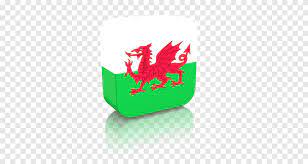 The home of wales football team on bbc sport online. Flagge Von Wales Walisischer Drache Cardiff Stadt F C Grun Flagge Von Wales Marke Cardiff City Fc Png Pngegg