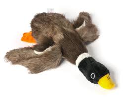 Bird That Sounds Like A Squeaky Toy At Night Dogloveit Mallard Duck Squeaky Dog Toys For Small Dogs Plush Dog Toys 12 Inch Review More Details Plush Dog Toys Interactive Dog Toys Coconut Oil For Dogs