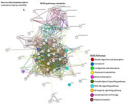 Guidelines for the management of necrotising enterocolitis 2017. Ijms Free Full Text Post Translational Protein Deimination Signatures In Serum And Serum Extracellular Vesicles Of Bos Taurus Reveal Immune Anti Pathogenic Anti Viral Metabolic And Cancer Related Pathways For Deimination Html