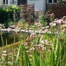 Sichtschutzelemente Am Schwimmteich Fence Fences Fenceidea Zaun Garten Garden Schwimmteich Naturgarten Gartenplanung