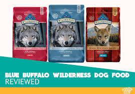 Blue Buffalo Wilderness Dry Dog Food Review Our Review For